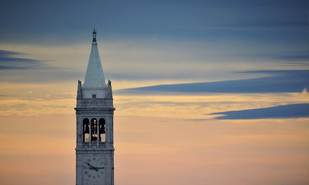 Who Can Save the University?